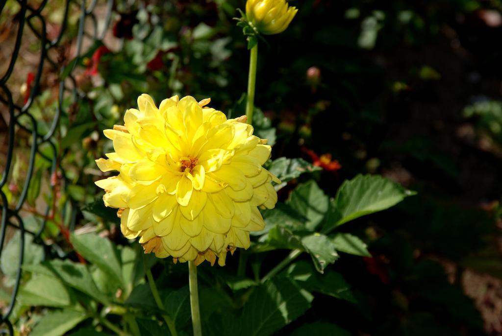 Cradog Farmhouse B&B Urlingford エクステリア 写真